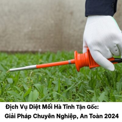 Dịch Vụ Diệt Mối Hà Tĩnh Tận Gốc: Giải Pháp Chuyên Nghiệp, An Toàn 2024
